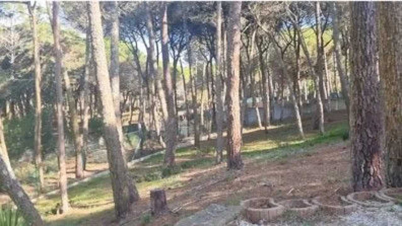 Terreno para Venda em Constancia Foto 1