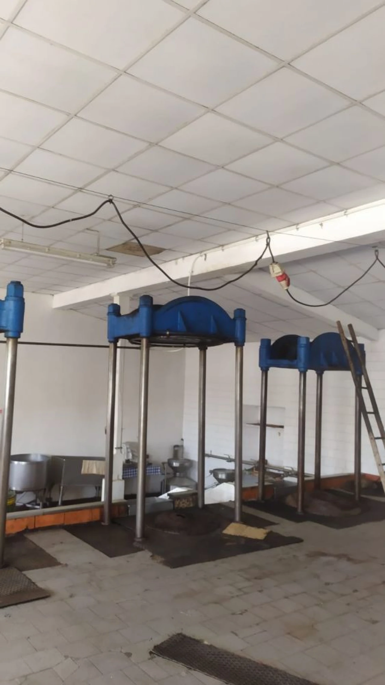 Loja para Venda em Ferreira do Zezere Foto 2