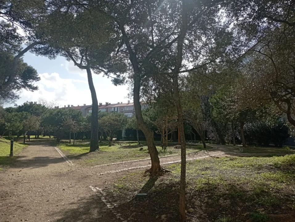 Loja para Venda em Cascais e Estoril Foto 19