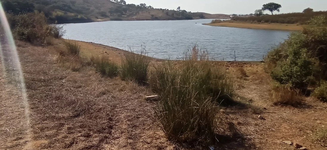 Terreno para Venda em Portel Foto 10