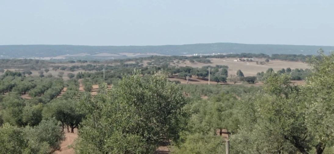 Terreno para Venda em Portel Foto 12