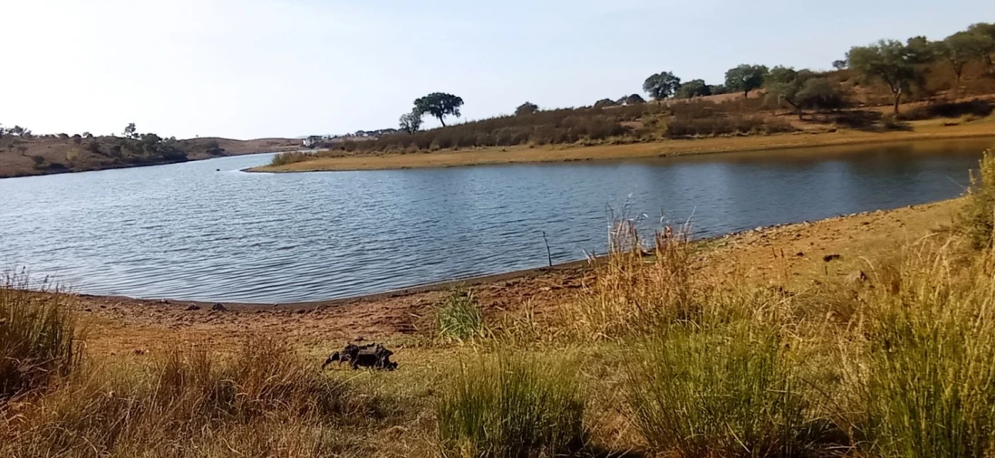 Terreno para Venda em Portel Foto 18