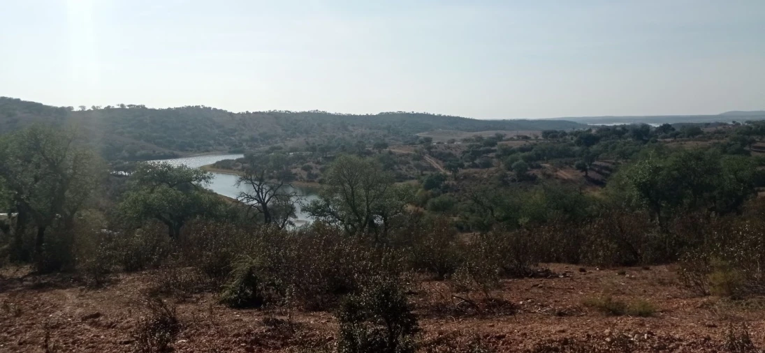 Terreno para Venda em Portel Foto 7