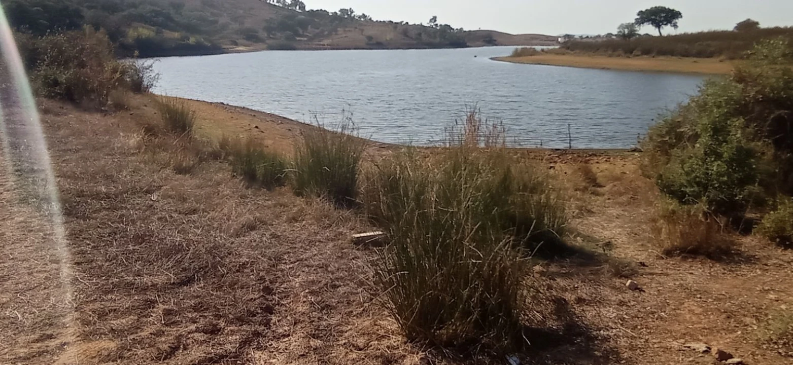 Terreno para Venda em Portel Foto 10