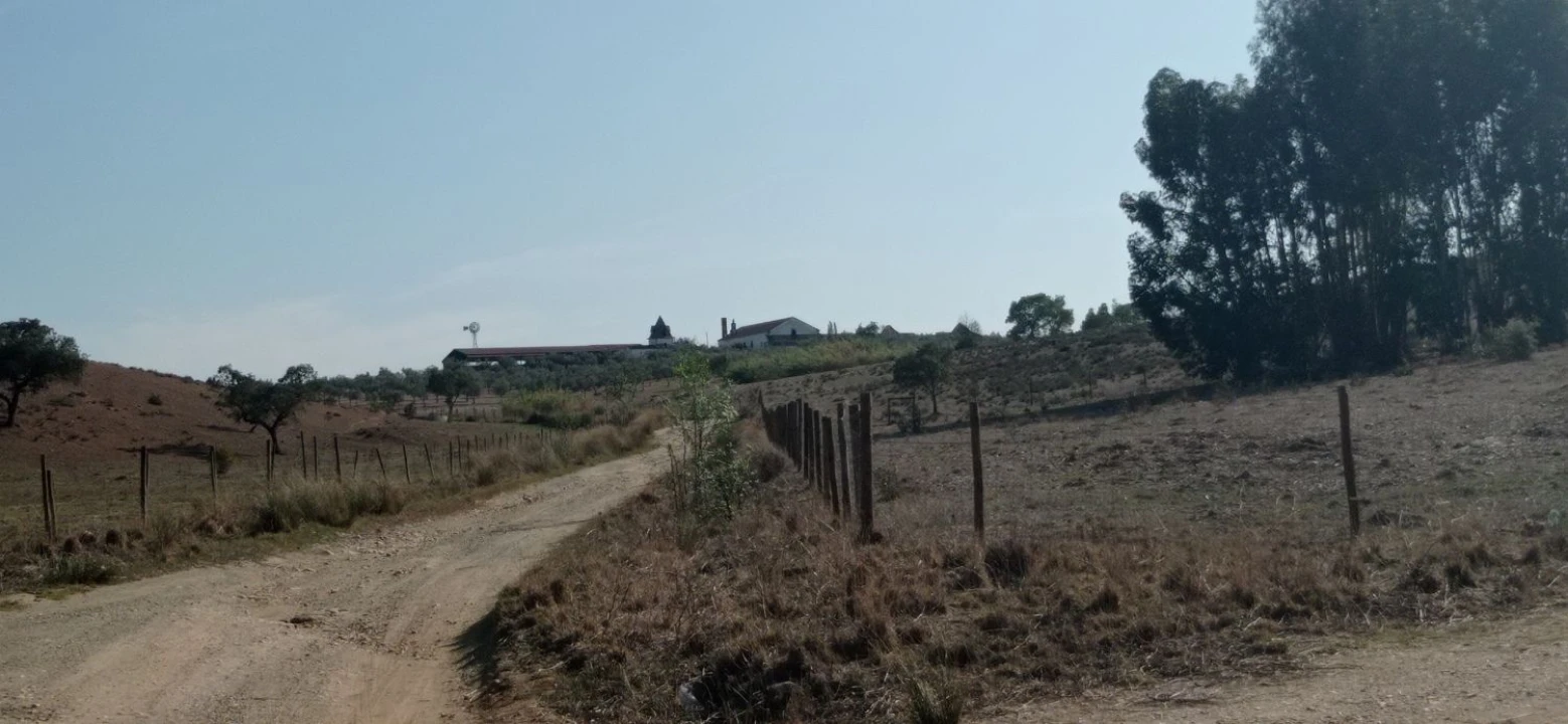 Terreno para Venda em Portel Foto 16