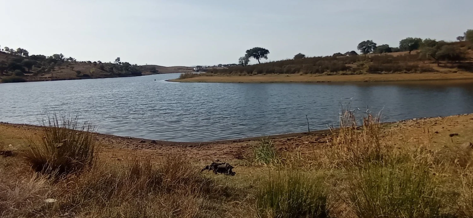 Terreno para Venda em Portel Foto 3