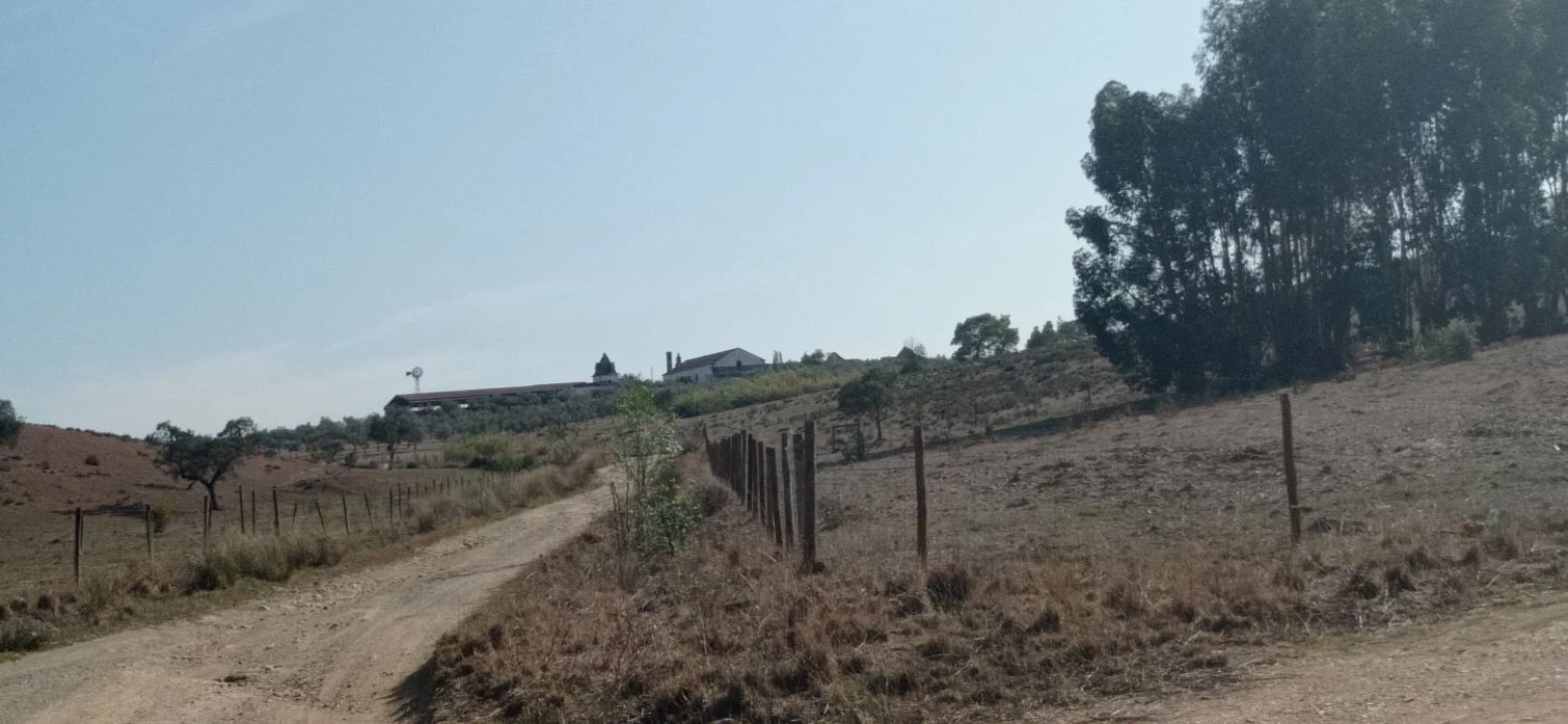 Terreno para Venda em Portel Foto 9