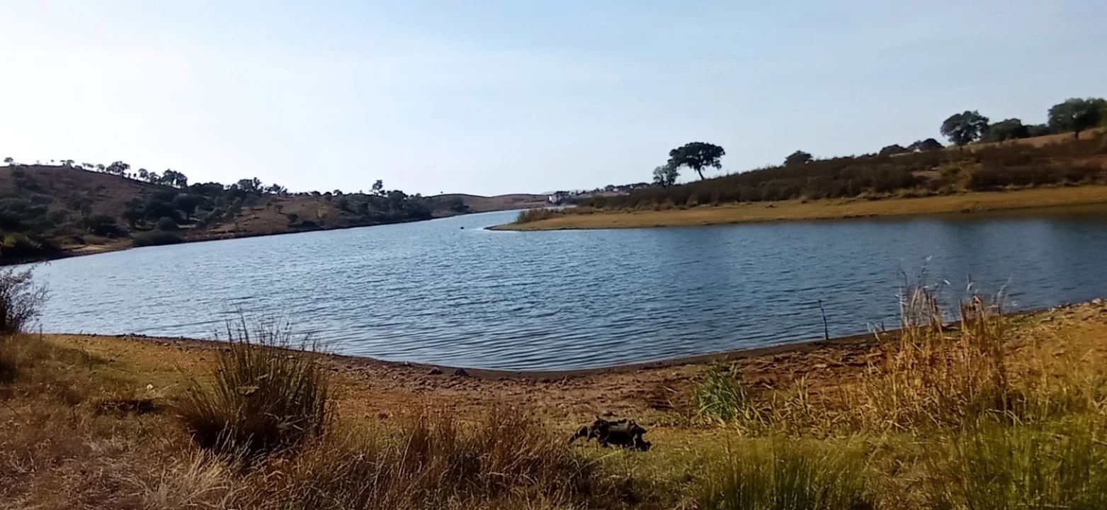 Terreno para Venda em Portel Foto 1