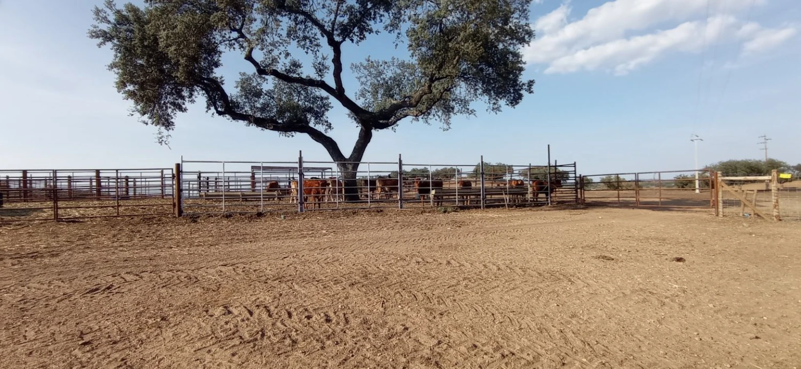 Terreno para Venda em Portel Foto 14
