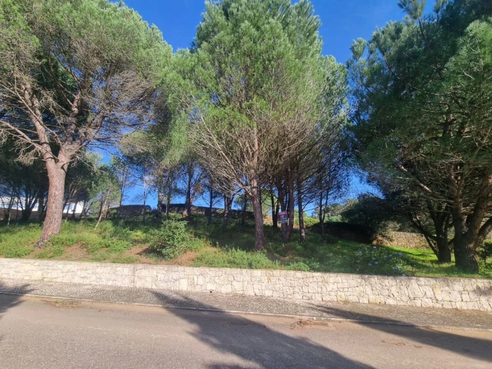 Terreno para Venda em Constancia Foto 7