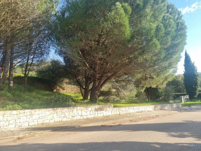 Terreno para Venda em Constancia Foto 4