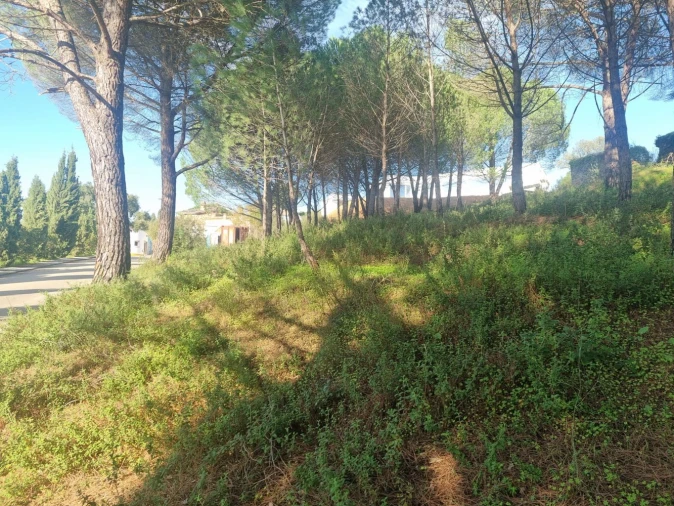 Terreno para Venda em Constancia Foto 15