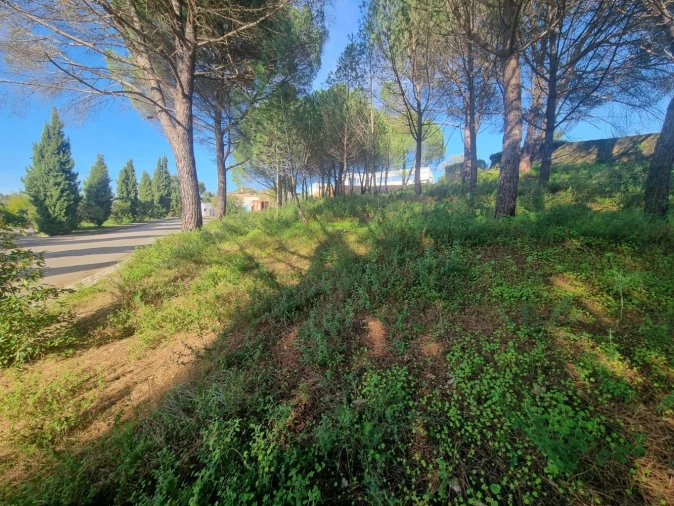 Terreno para Venda em Constancia Foto 14