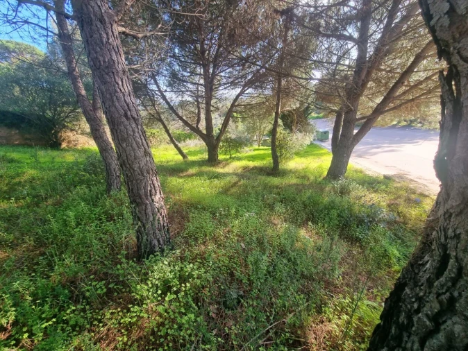 Terreno para Venda em Constancia Foto 13