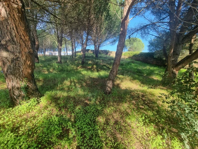 Terreno para Venda em Constancia Foto 2