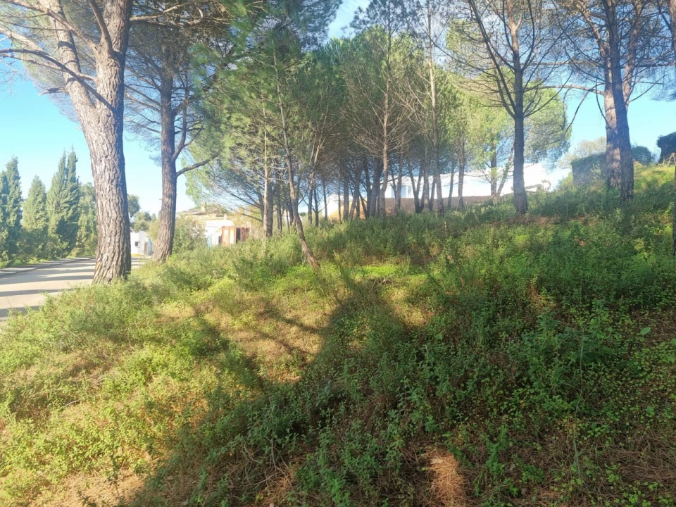 Terreno para Venda em Constancia Foto 15