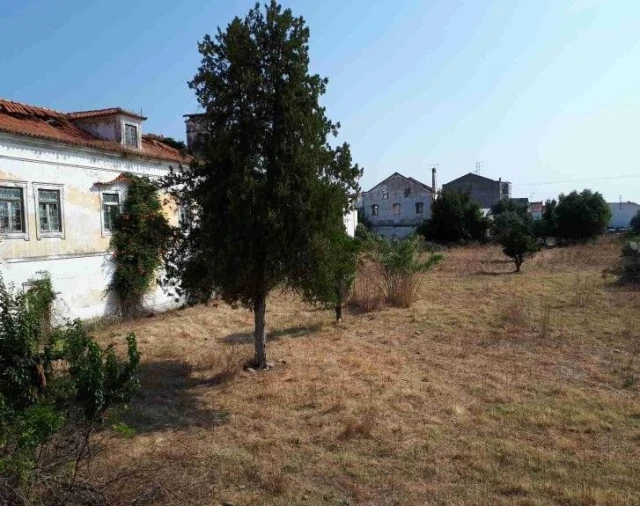 Moradia T3 para Venda em São Miguel do Rio Torto e Rossio Ao Sul do Tejo Foto 3