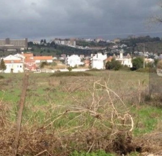 Moradia T3 para Venda em São Miguel do Rio Torto e Rossio Ao Sul do Tejo Foto 9