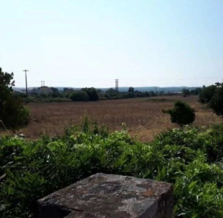 Moradia T3 para Venda em São Miguel do Rio Torto e Rossio Ao Sul do Tejo Foto 8