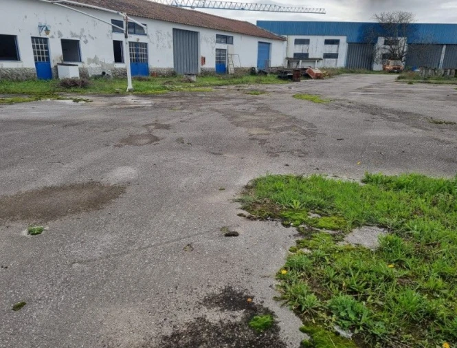 Loja para Arrendamento em Benavente Foto 16