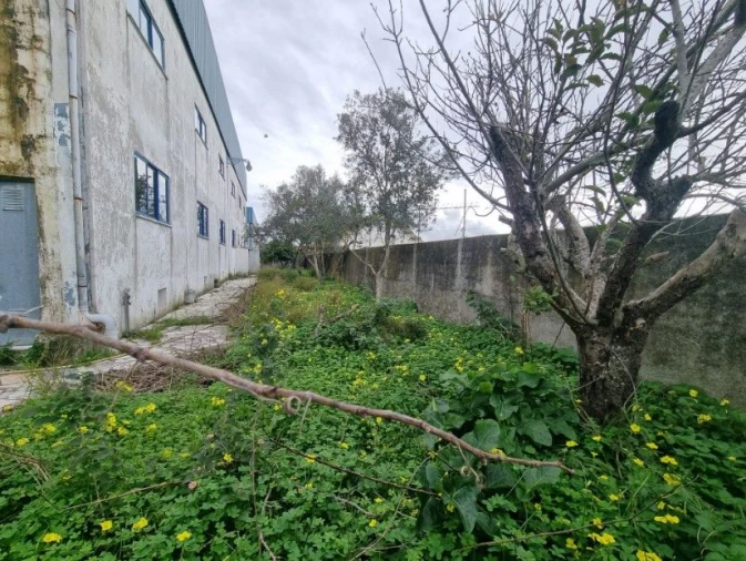 Loja para Arrendamento em Benavente Foto 14