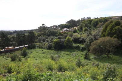 Terreno para Venda em Santa Maria e São Miguel, São Martinho, São Pedro Penaferrim