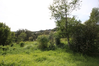 Terreno para Venda em Santa Maria e São Miguel, São Martinho, São Pedro Penaferrim