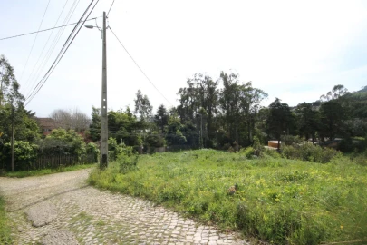 Terreno para Venda em Santa Maria e São Miguel, São Martinho, São Pedro Penaferrim