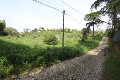 Terreno para Venda em Santa Maria e São Miguel, São Martinho, São Pedro Penaferrim