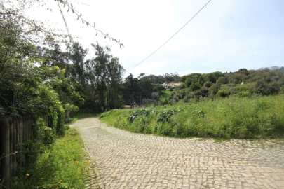 Terreno para Venda em Santa Maria e São Miguel, São Martinho, São Pedro Penaferrim
