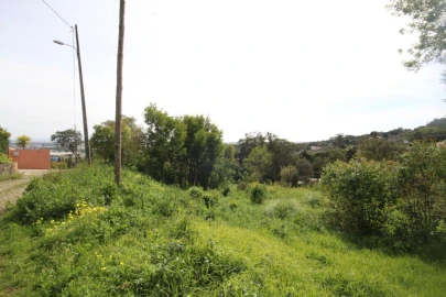 Terreno para Venda em Santa Maria e São Miguel, São Martinho, São Pedro Penaferrim