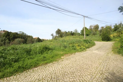 Terreno para Venda em Santa Maria e São Miguel, São Martinho, São Pedro Penaferrim