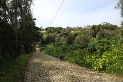 Terreno para Venda em Santa Maria e São Miguel, São Martinho, São Pedro Penaferrim