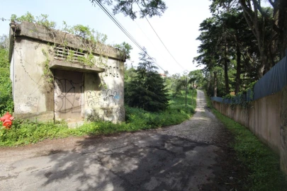 Terreno para Venda em Santa Maria e São Miguel, São Martinho, São Pedro Penaferrim