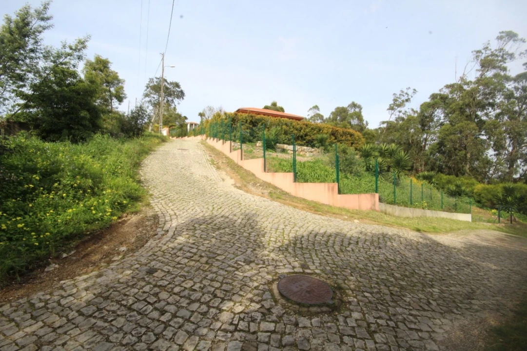 Terreno para Venda em Santa Maria e São Miguel, São Martinho, São Pedro Penaferrim Foto 13