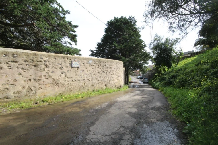 Terreno para Venda em Santa Maria e São Miguel, São Martinho, São Pedro Penaferrim Foto 24