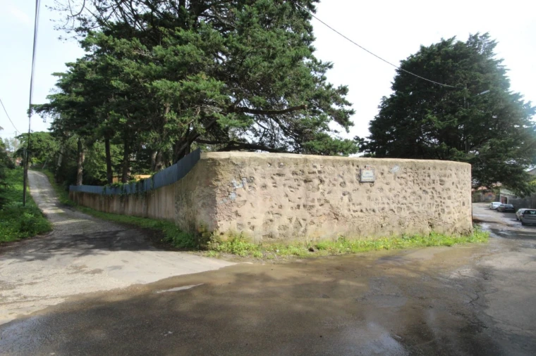 Terreno para Venda em Santa Maria e São Miguel, São Martinho, São Pedro Penaferrim Foto 25