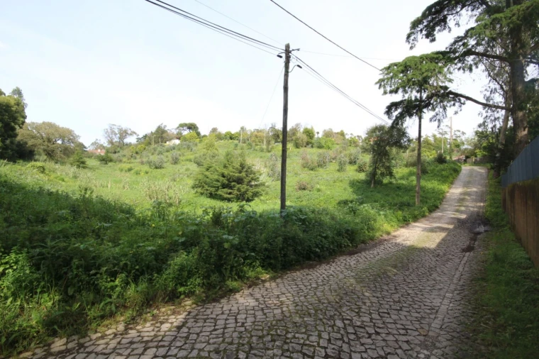Terreno para Venda em Santa Maria e São Miguel, São Martinho, São Pedro Penaferrim Foto 2