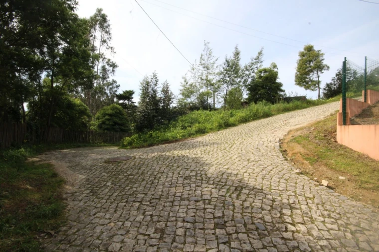 Terreno para Venda em Santa Maria e São Miguel, São Martinho, São Pedro Penaferrim Foto 12
