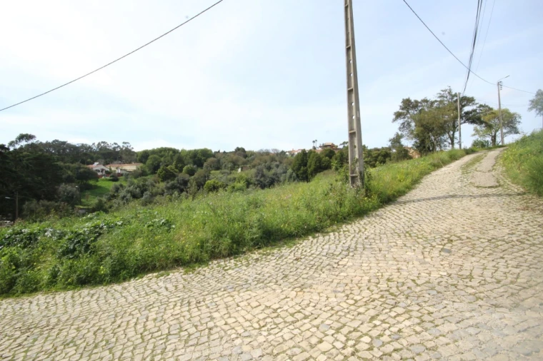 Terreno para Venda em Santa Maria e São Miguel, São Martinho, São Pedro Penaferrim Foto 14