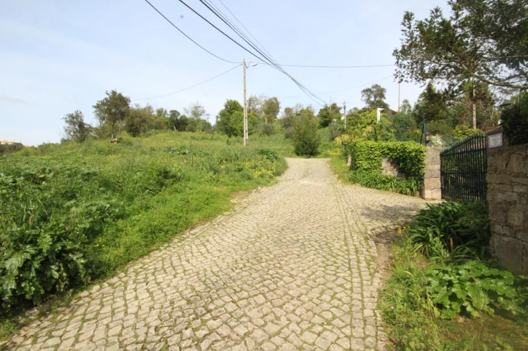 Terreno para Venda em Santa Maria e São Miguel, São Martinho, São Pedro Penaferrim Foto 5