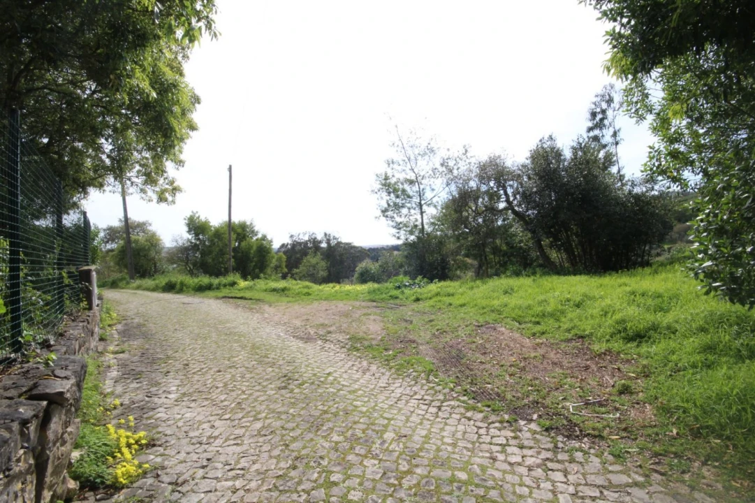 Terreno para Venda em Santa Maria e São Miguel, São Martinho, São Pedro Penaferrim Foto 8