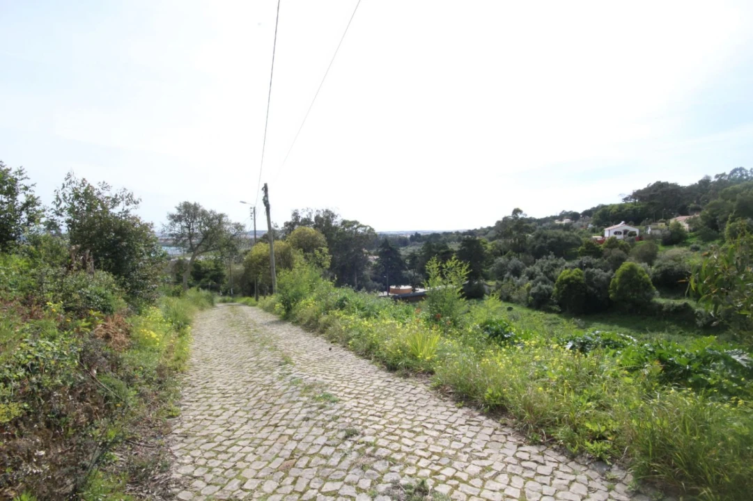 Terreno para Venda em Santa Maria e São Miguel, São Martinho, São Pedro Penaferrim Foto 19
