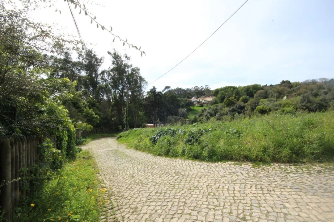 Terreno para Venda em Santa Maria e São Miguel, São Martinho, São Pedro Penaferrim Foto 15