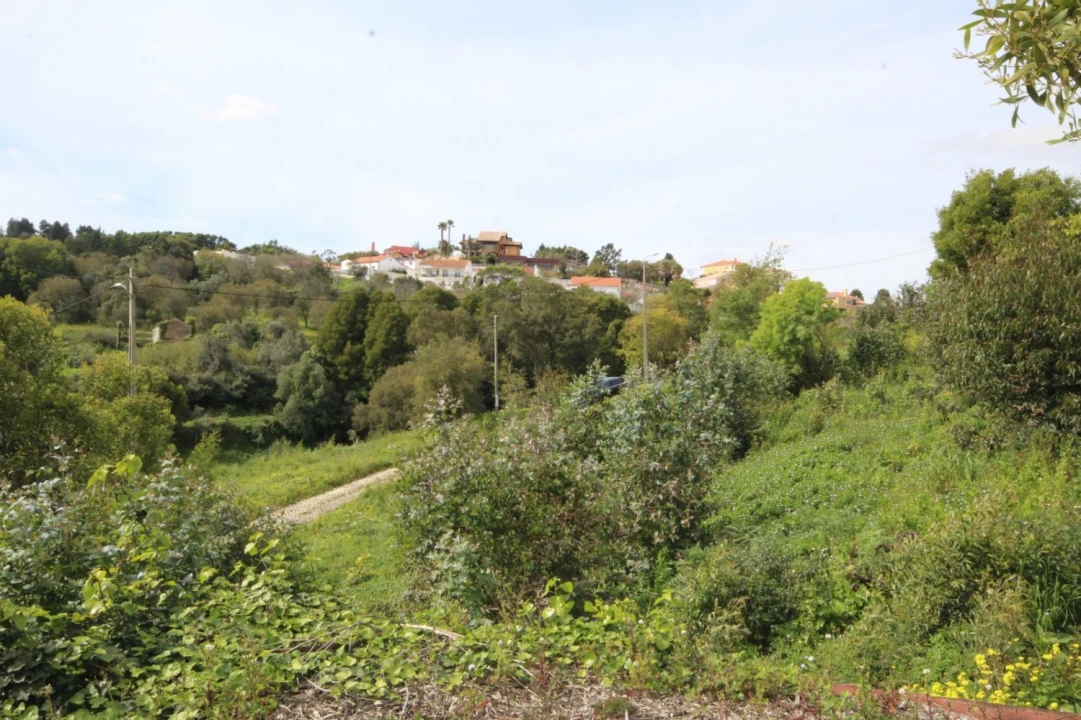 Terreno para Venda em Santa Maria e São Miguel, São Martinho, São Pedro Penaferrim Foto 11