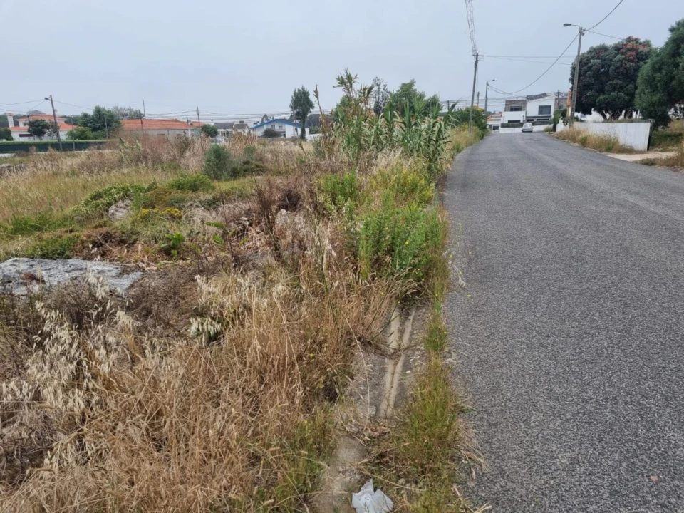 Terreno para Venda em São João das Lampas e Terrugem Foto 1