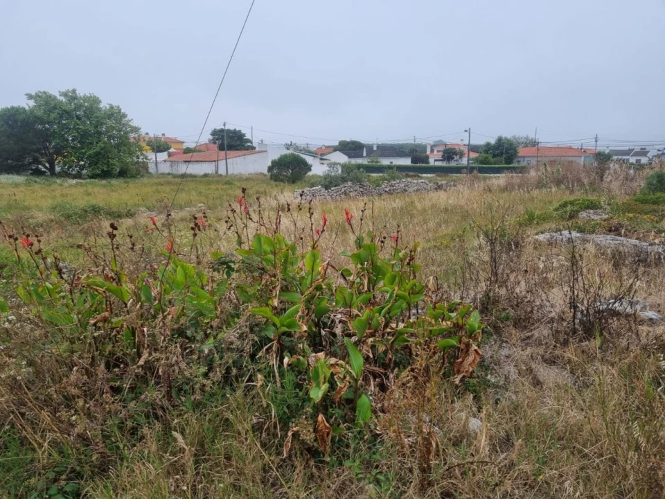 Terreno para Venda em São João das Lampas e Terrugem Foto 4