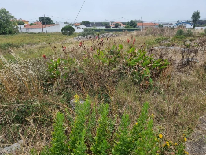 Terreno para Venda em São João das Lampas e Terrugem Foto 3