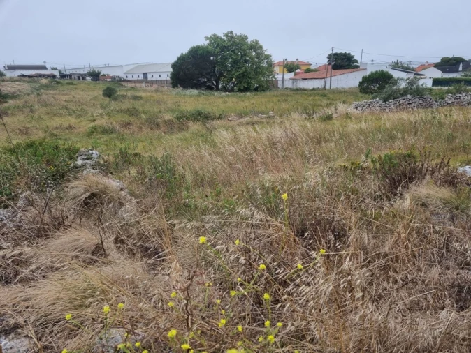 Terreno para Venda em São João das Lampas e Terrugem Foto 5