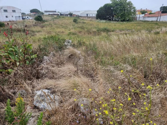 Terreno para Venda em São João das Lampas e Terrugem Foto 6